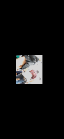 逆さパラダイス7