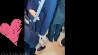 モザイクな景色