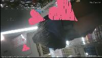 お盆は始まったばかり景色